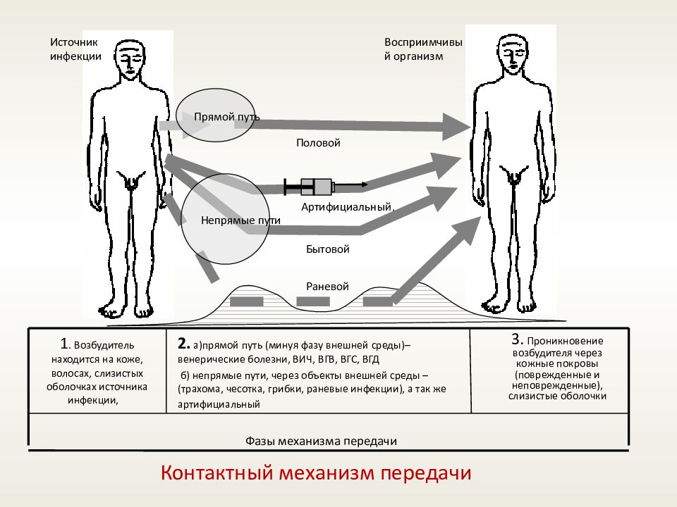 Природные факторы эпидемического процесса презентация