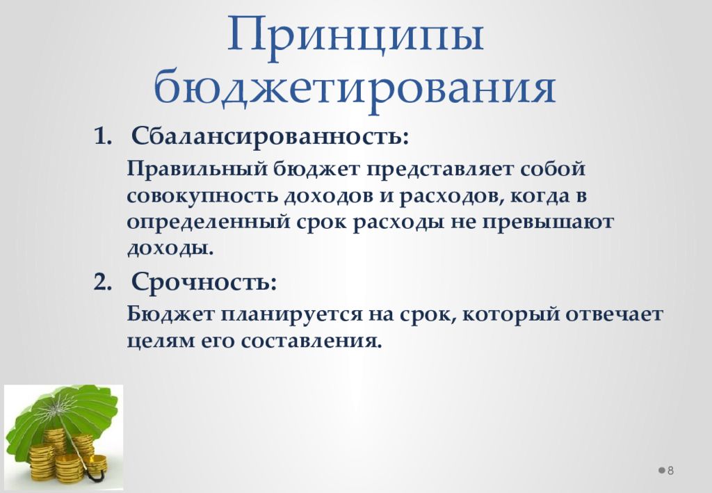 бюджет представляет собой форму