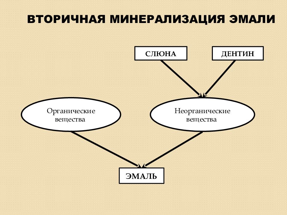 Неорганические вещества слюны