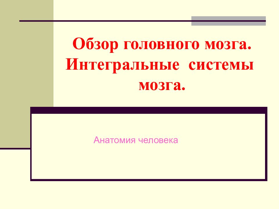 Обзор головного мозга. Интегральные системы мозга.