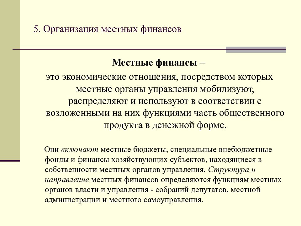 местные финансы и местный бюджет