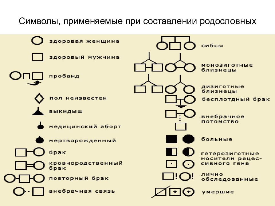 Схема родословная по биологии