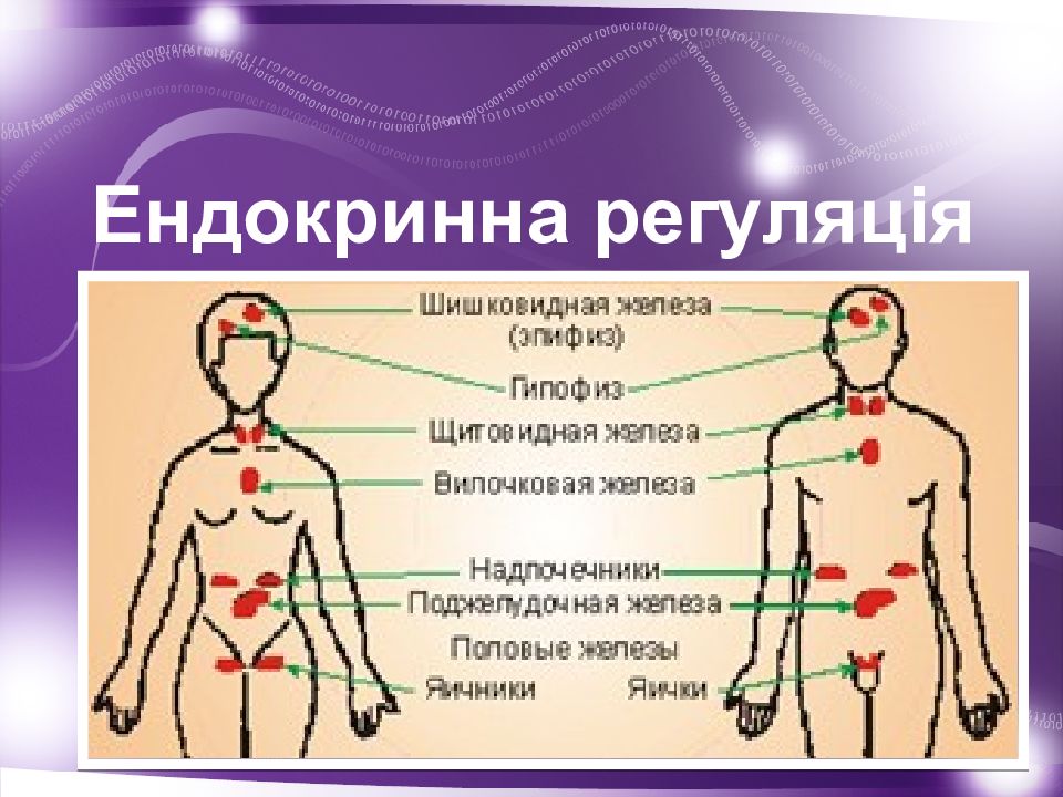 Где находится найма. Где находится найма