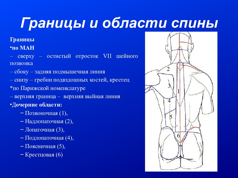 волнистая линия на прозрачном фоне. линия снизу. как убрать полосы в ворде снизу. чёрный фон с белыми полосками. как написать текст в ворде над линией.