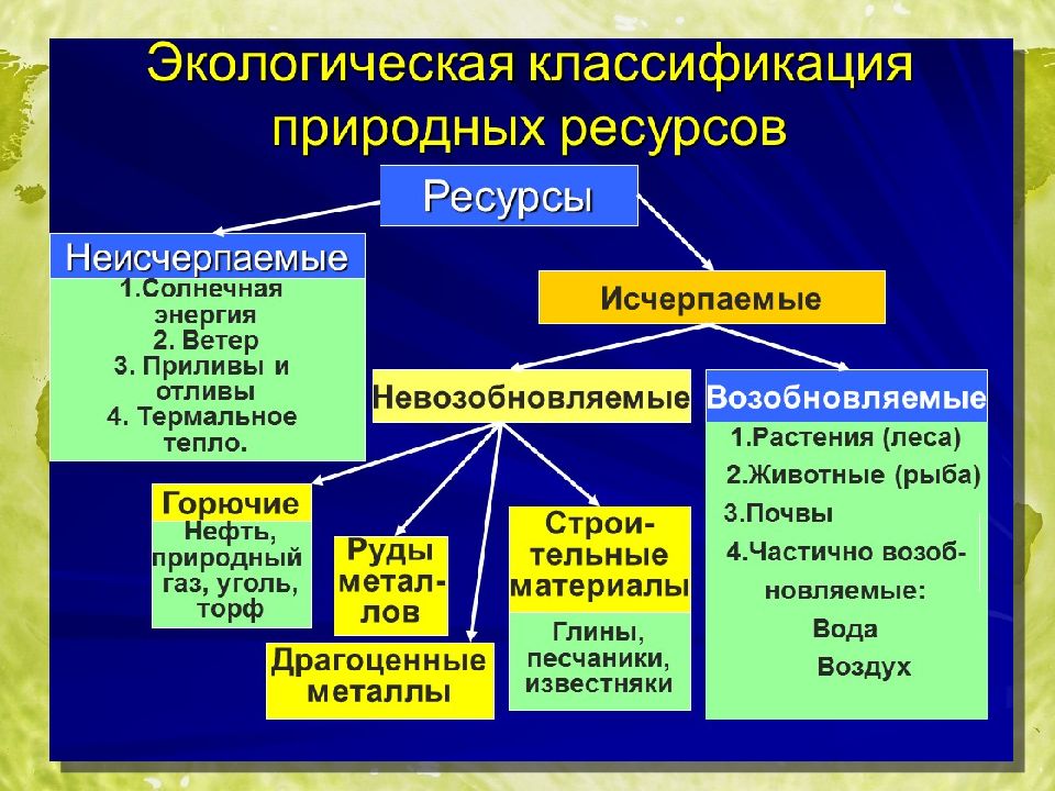 Презентация по биологии 9 класс экологические ресурсы