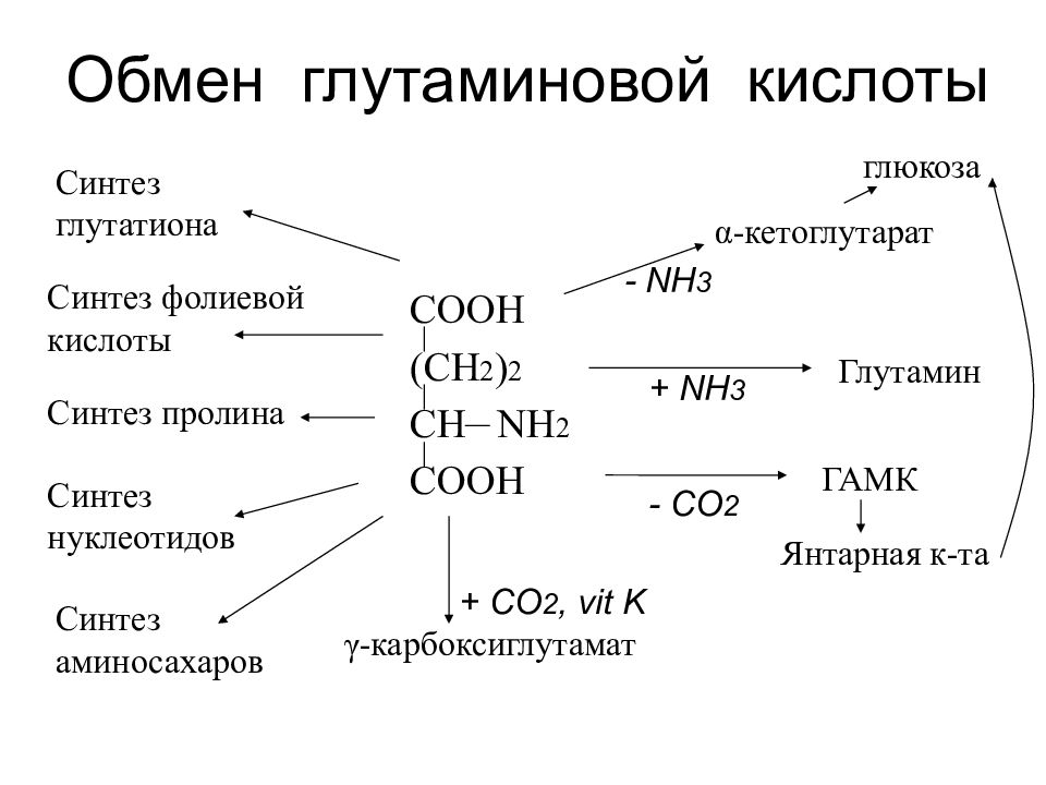 Для синтеза кислот используют. Схема получения глутаминовой кислоты. Особенности обмена глутаминовой кислоты. Синтез глутаминовой кислоты. Метаболизм глутаминовой кислоты.