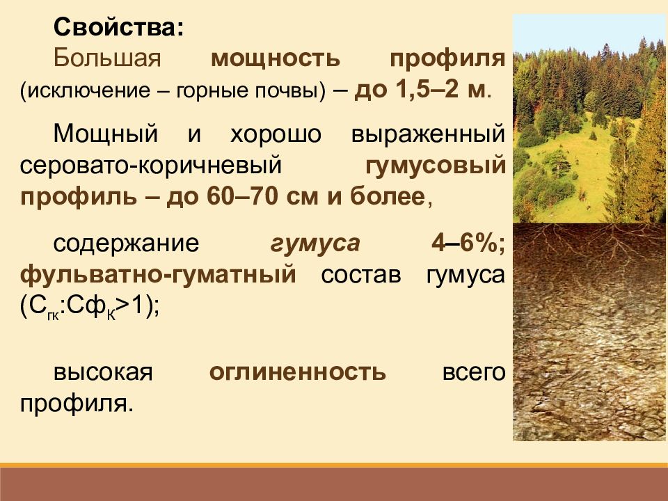 Почва субтропической зоны. Желтоземы и красноземы в России. «Почвы субтропического пояса» музей почвоведения. Желтозёмы и краснозёмы почвы характеристика. Желтоземы почвы характеристика.