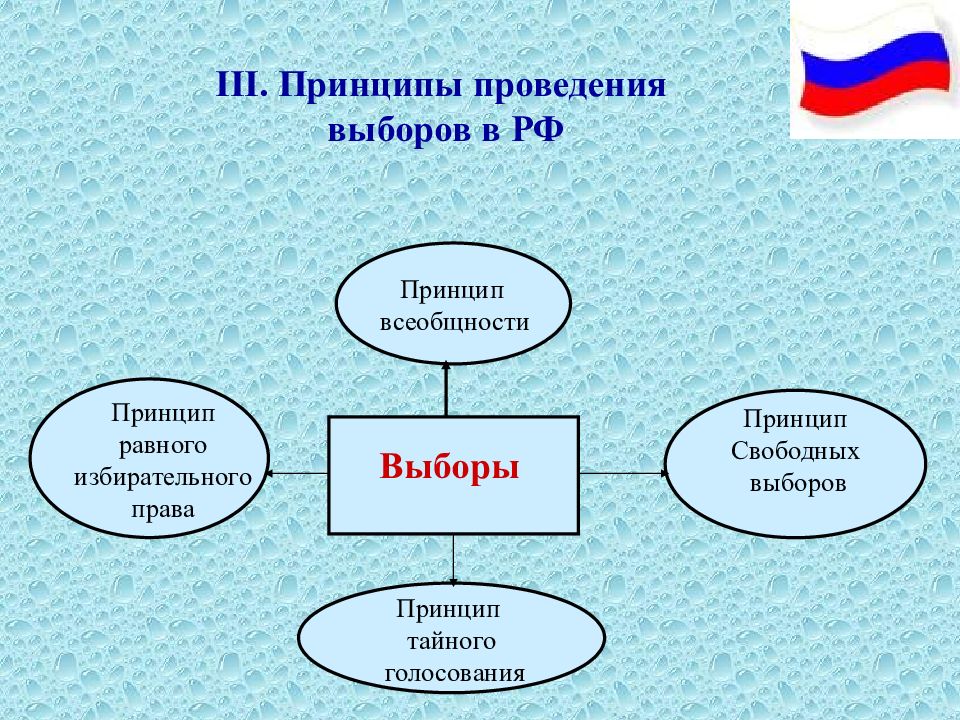 Стандарты проведения выборов. Принципы проведения выборов. Принцип свободных выборов.