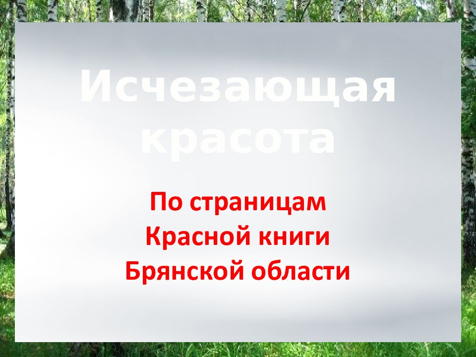 Исчезающая красота По страницам Красной книги Брянской области