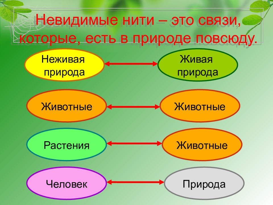 Схема невидимых нитей