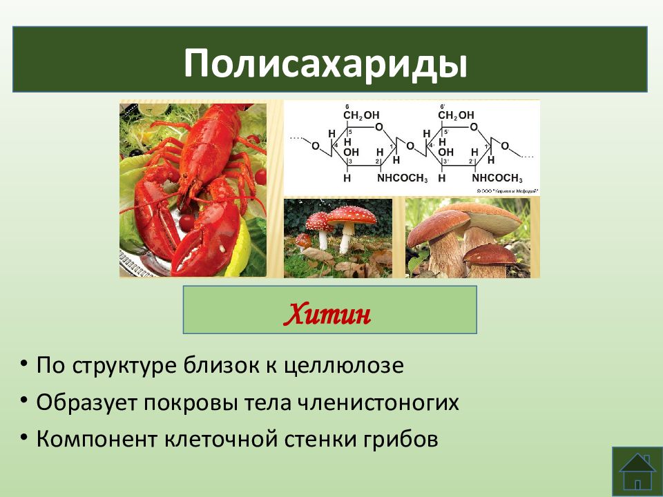 Углеводы презентация 10 класс химия