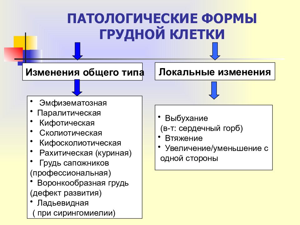 Патологические формы грудной клетки презентация