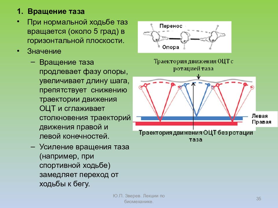 Практическая работа циклическая презентация