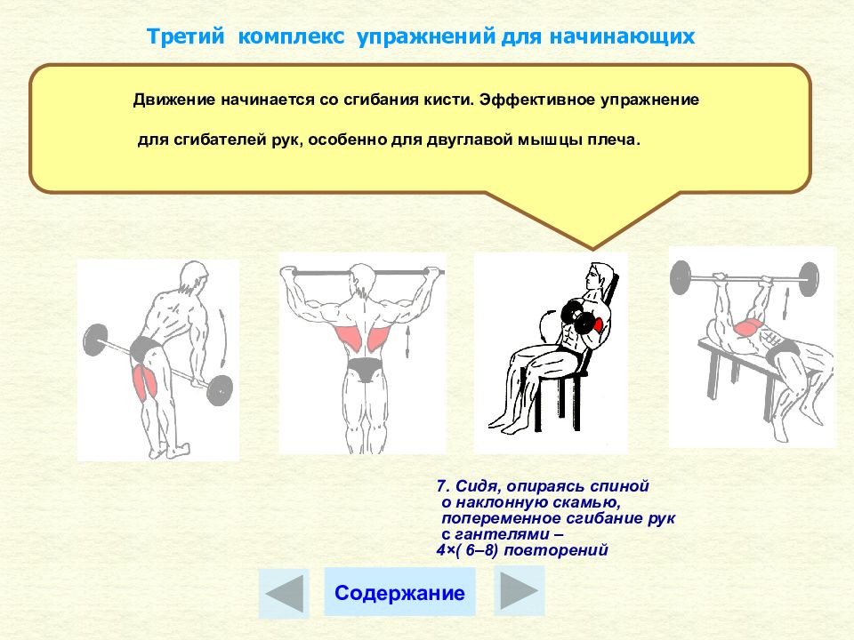 План конспект урока по атлетической гимнастике в 10 классе