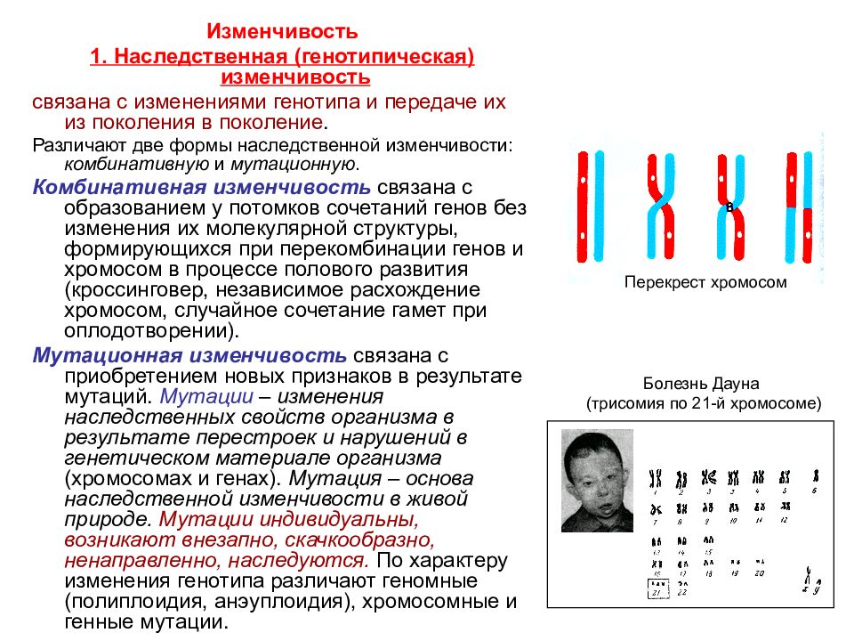 Кроссворд генотипическая изменчивость