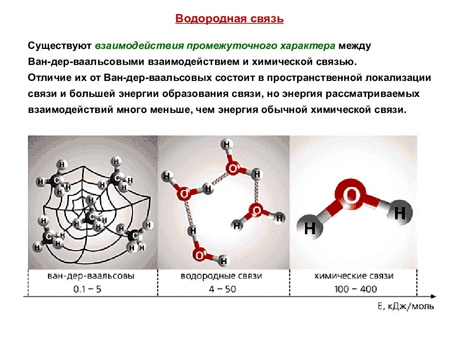 Водородные силы