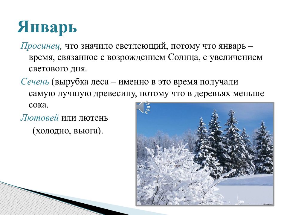 После январь что будет. Январь Просинец. В январе в январе. Январь Сечень. Сечень какой месяц что означает.