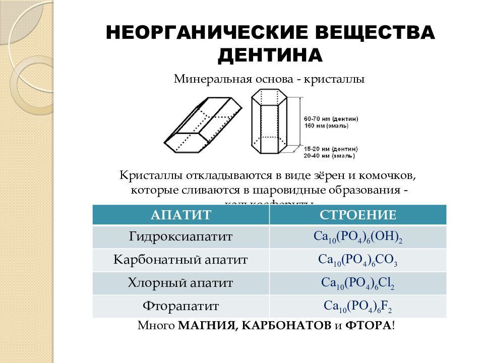 Биохимия тканей зуба презентация