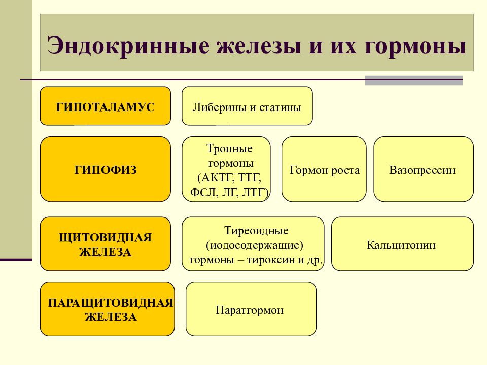 Железы и их гормоны