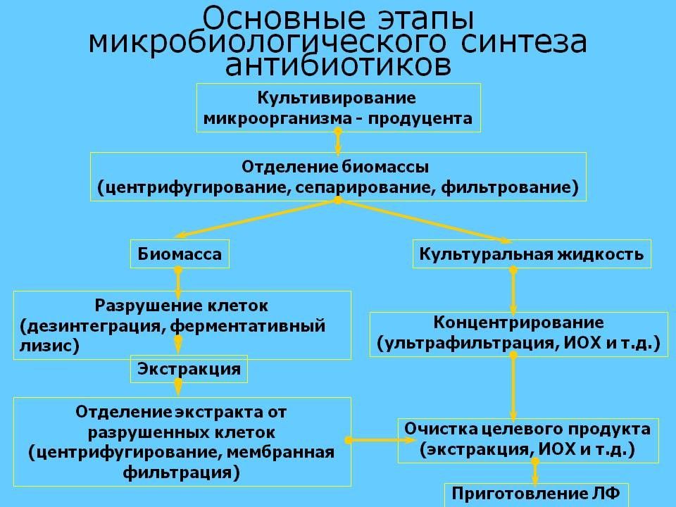 Биотехнологическая схема получения ферментов