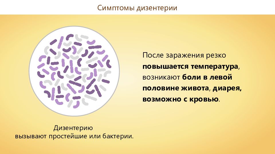 Дизентерии включает. Дизентерия возбудитель симптомы. Бациллярная дизентерия возбудитель. Дизентерия симптомы. Возбудитель дизентерии является.