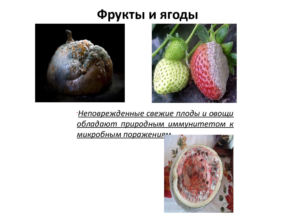 Возможные источники микробиологического загрязнения в пищевом производстве. Микробиологическое загрязнение. Микробиологического загрязнения в пищевом производстве. Источники микробиологического загрязнения. Источники микроорганизмов.