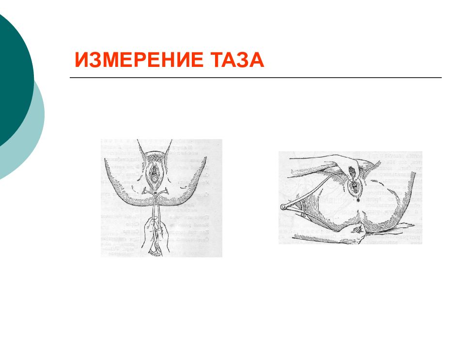 Клиническая анатомия предмет