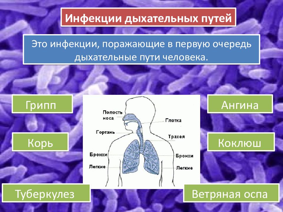 Заболевания верхних дыхательных путей у детей презентация