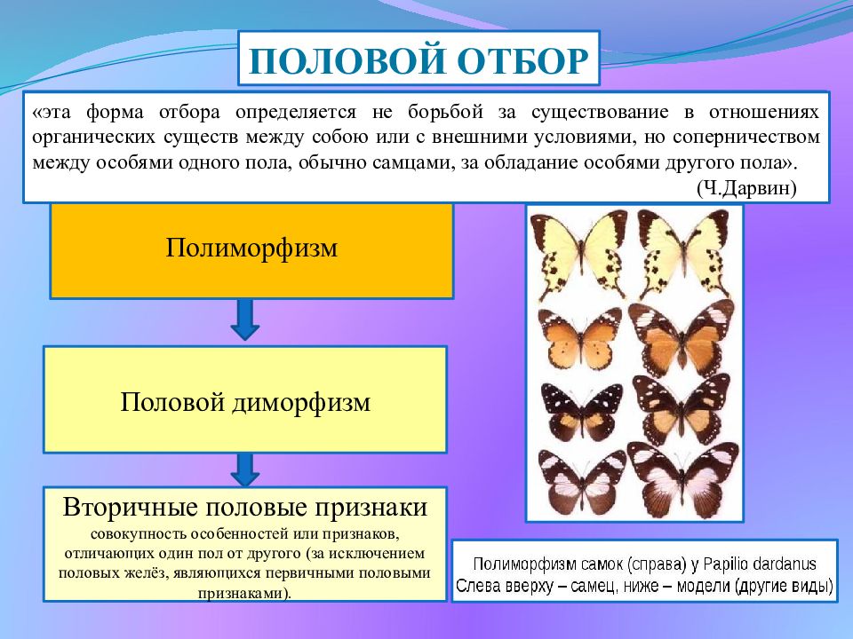 Движущий естественный отбор картинки