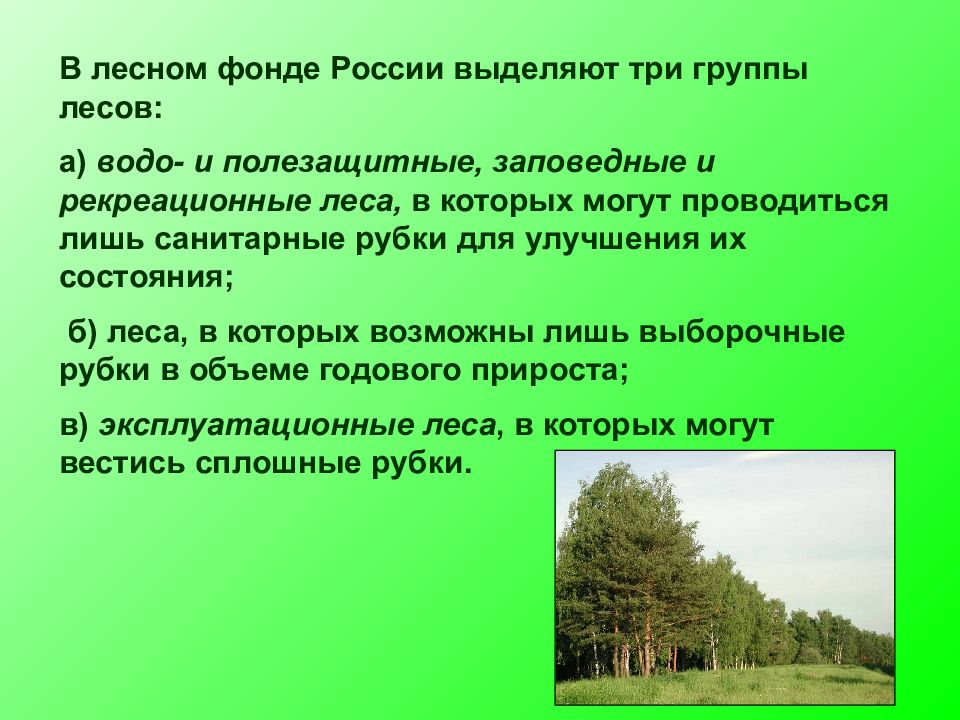 Лес относится. Лесное хозяйство презентация. Состав лесного фонда. Темы для презентаций лесного хозяйства. Лесной фонд презентация.