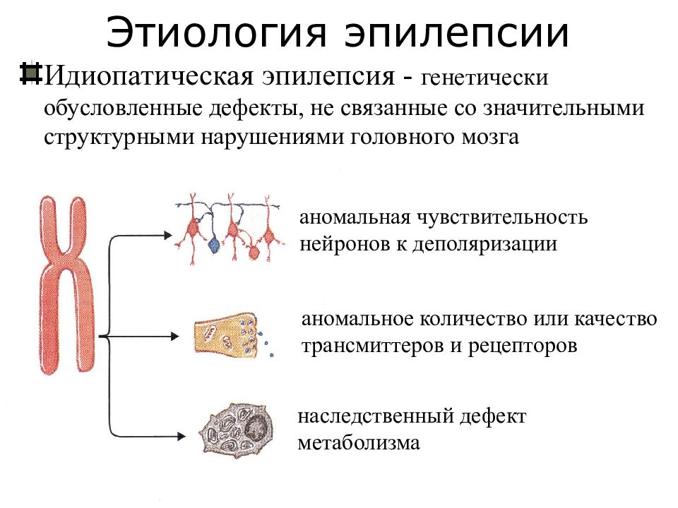 Патогенез эпилепсии схема