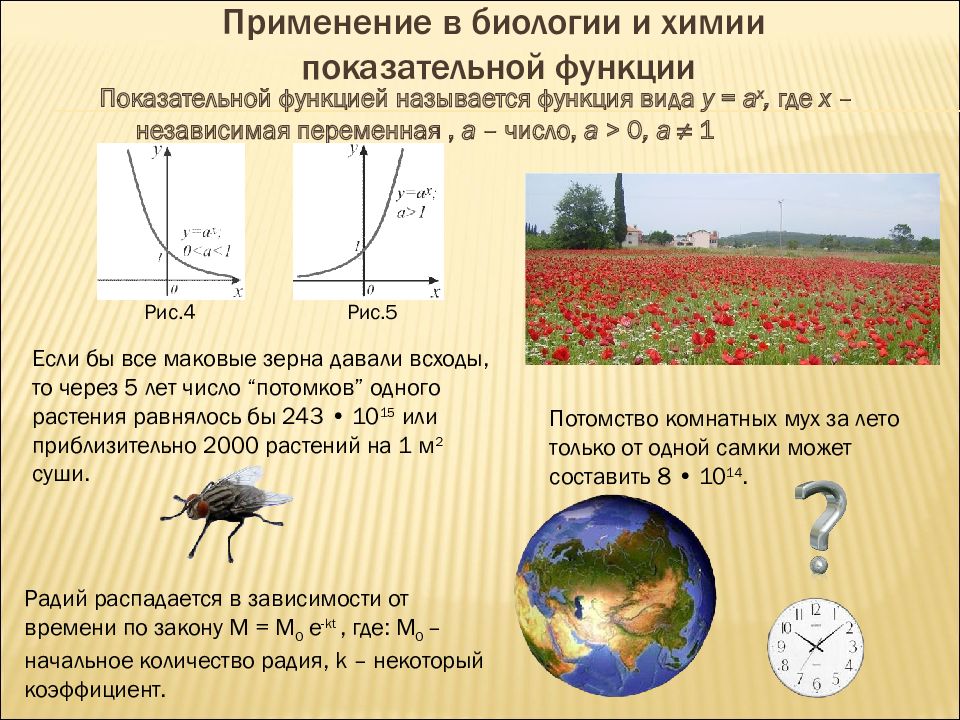 Показательная функция проект