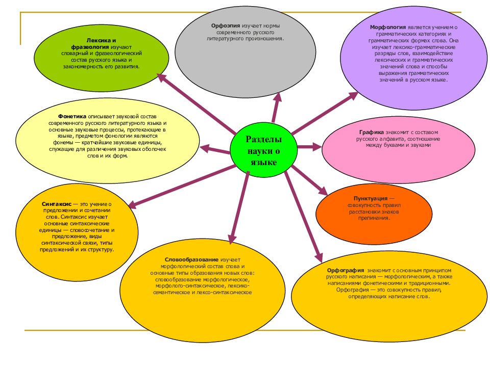 6 класс русский язык разделы науки о языке презентация