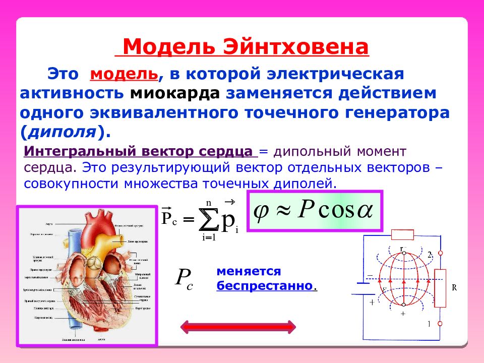 Схема электрической активности сердца является материальной моделью информационной моделью