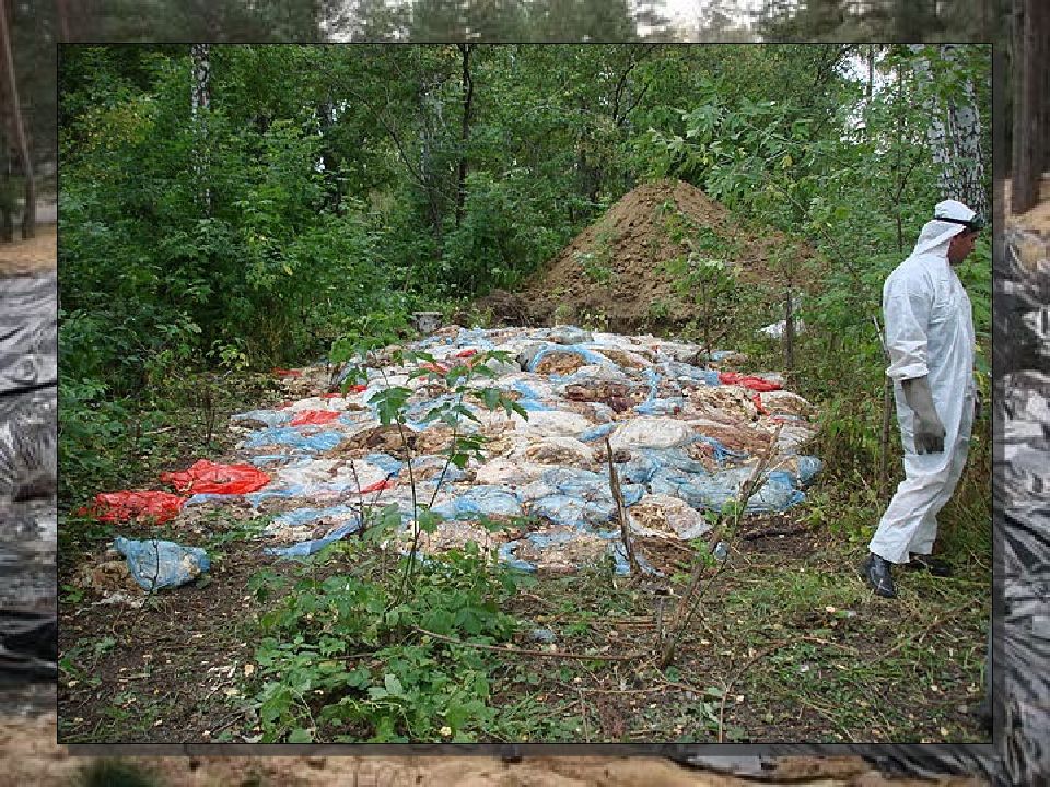 Захоронение отходов. Отходы на захоронение. Могильники отходов. Захоронение на полигонах.