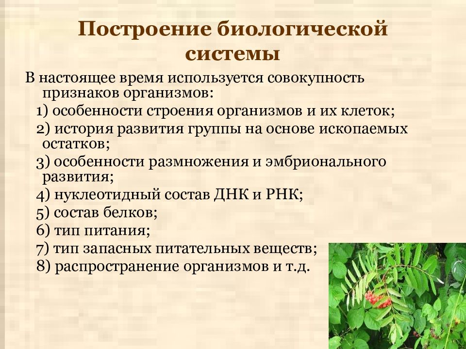 Презентация разнообразие организмов и их классификация. Принципы биологических систем. Перечислите биологические системы. Особенности строения организма. Признаки биологических систем.