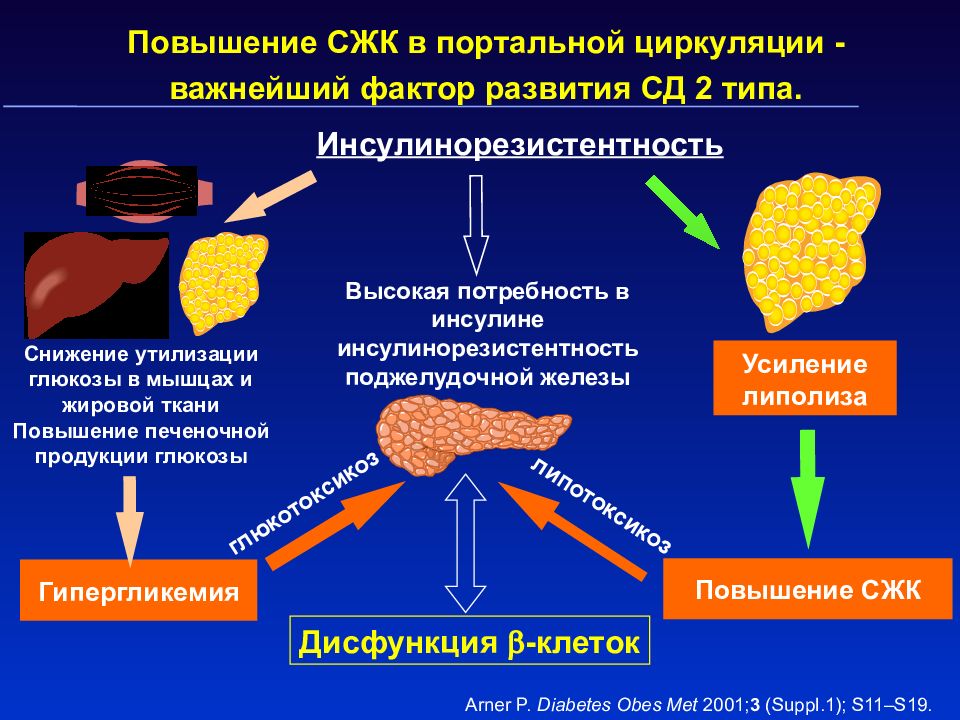 Увеличение свободный. СД 2 типа. Свободные жирные кислоты. Повышение СЖК. Повышение свободных жирных кислот в крови.