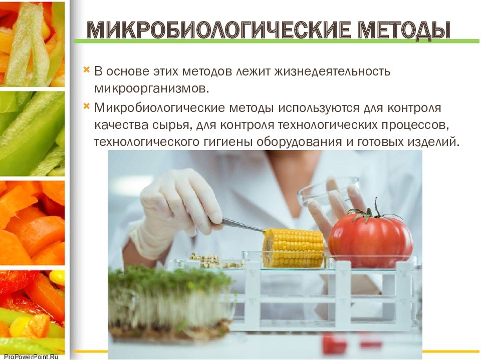 Качество пищевых продуктов презентация