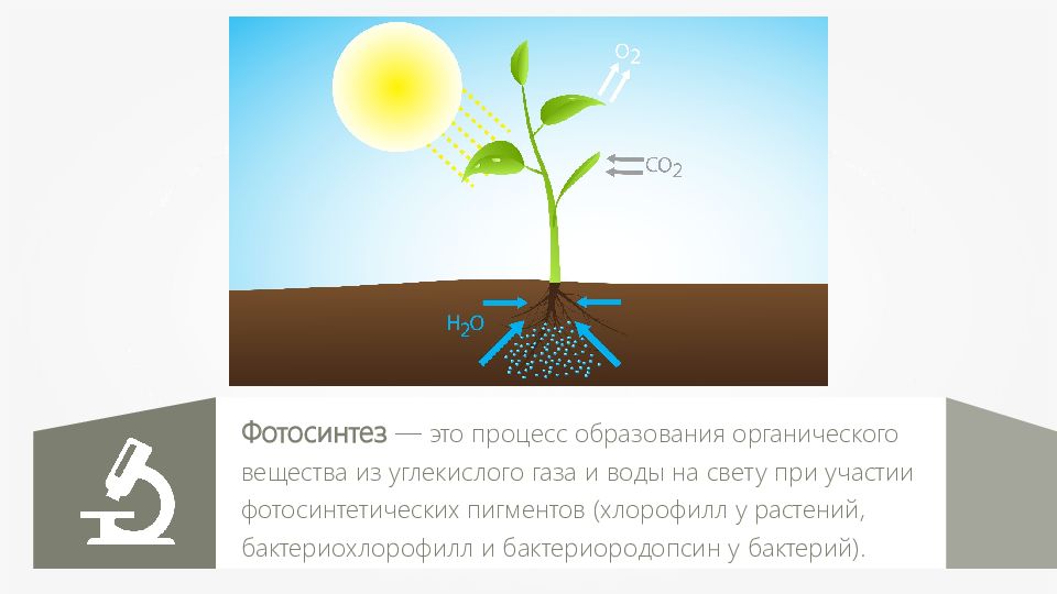 Углекислый газ это органическое вещество. Бактериородопсиновый фотосинтез. Процесс образования сложных органических веществ у растений. Искусственный фотосинтез. Дефицит углекислого газа у растений.