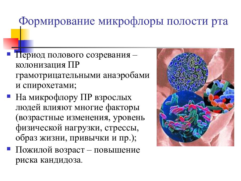 Микрофлора организма человека микробиология презентация