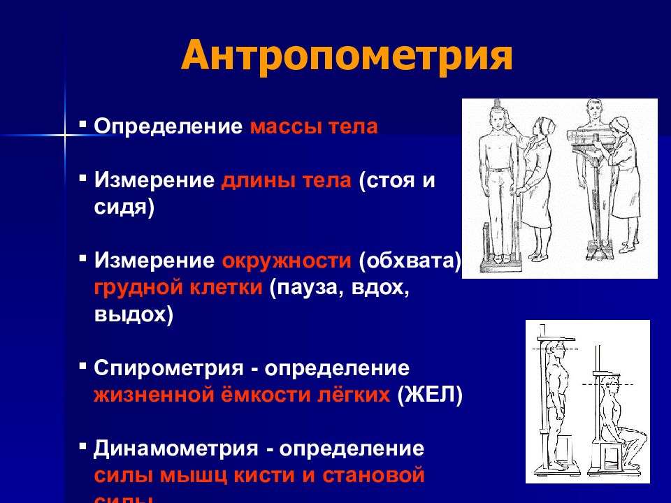 Антропометрические измерения