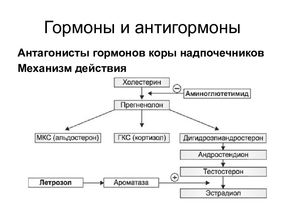 Презентация препараты гормонов коры надпочечников