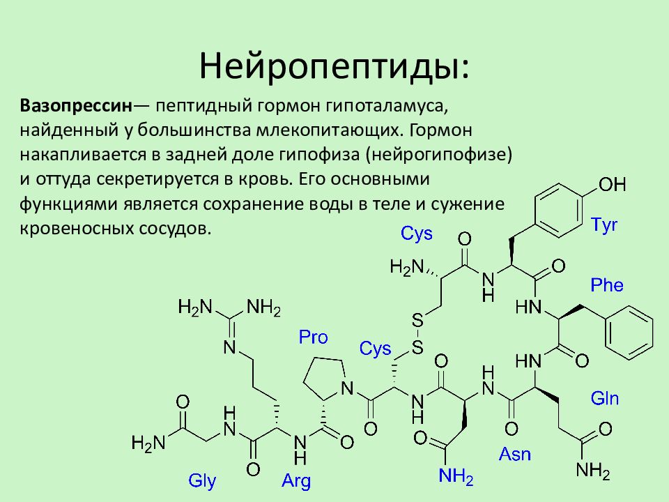 Вазопрессин гормон какой железы