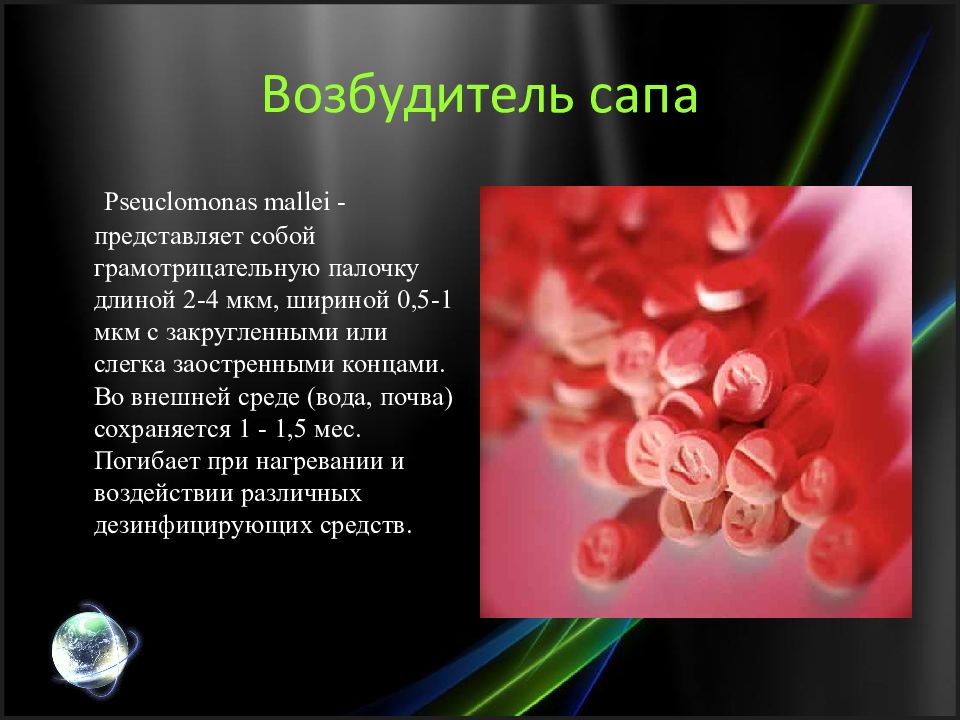 возбудитель для мужчин быстрого. дали возбудитель видео. сап микробиология возбудитель. блэк демон возбудитель для женщин. дали возбудитель видео.