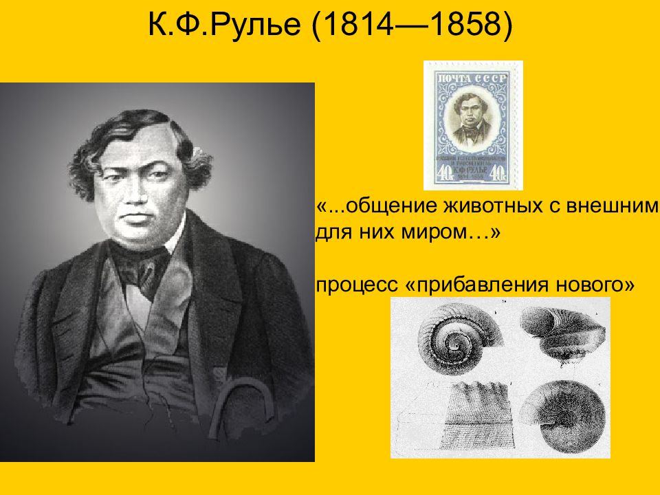 К.Ф. Рулье (1814-1858). Рулье. К Ф Рулье.