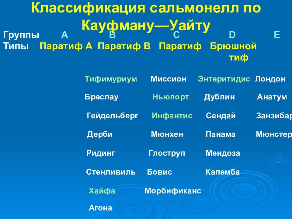 Кауфмана уайта. Классификация сальмонелл. Систематика сальмонелл. Серологическая классификация сальмонелл. Классификация сальмонелл микробиология.