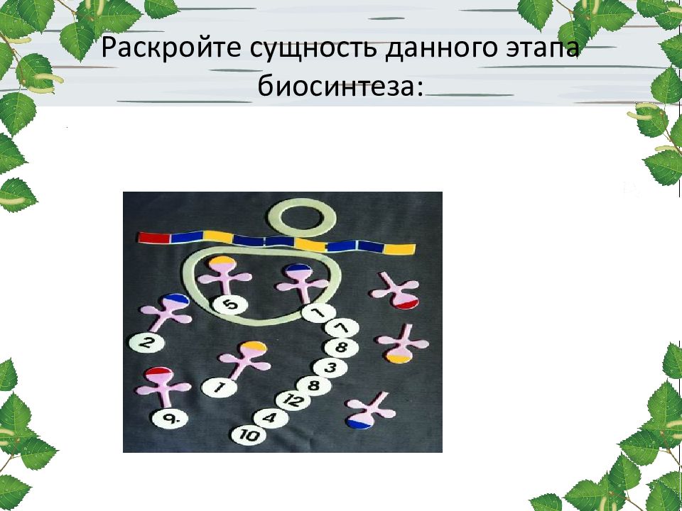 Раскройте сущность. Раскройте сущность данного этапа биосинтеза. Темы для презентации по биологии 9 класс. Знаки в биологии 9 класс.