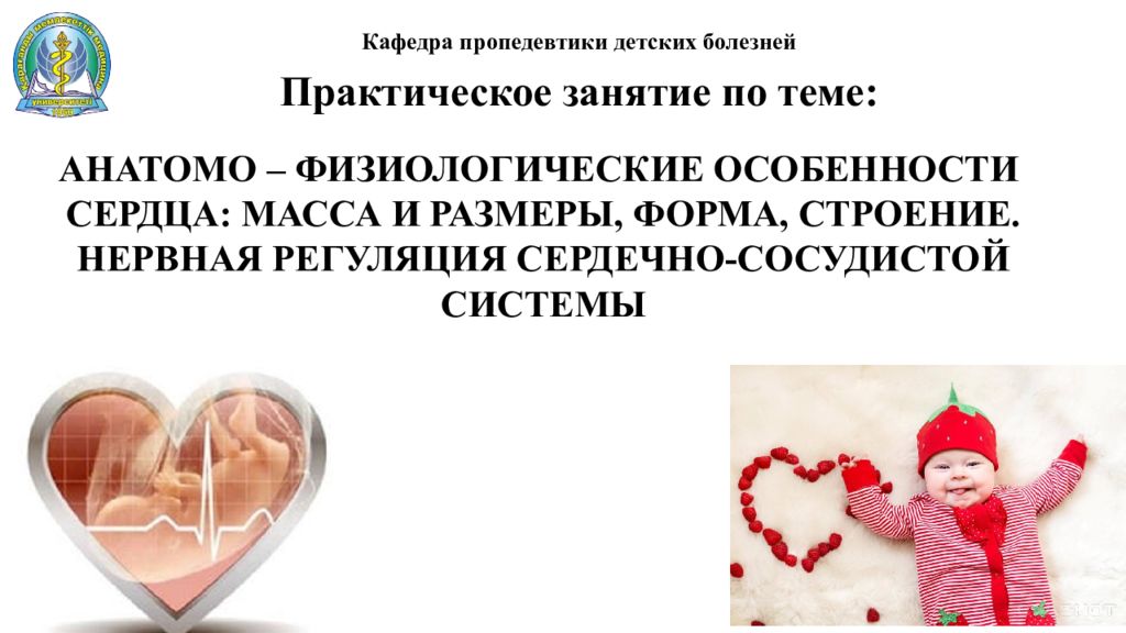 Анатомо физиологические особенности сердечно сосудистой системы. Афо сердечно сосудистой системы у детей. Анатомо-гистологическиеособенностисердца. Сердечно сосудистая система детей дошкольного возраста. Анатомо-физиологические особенности сердца.