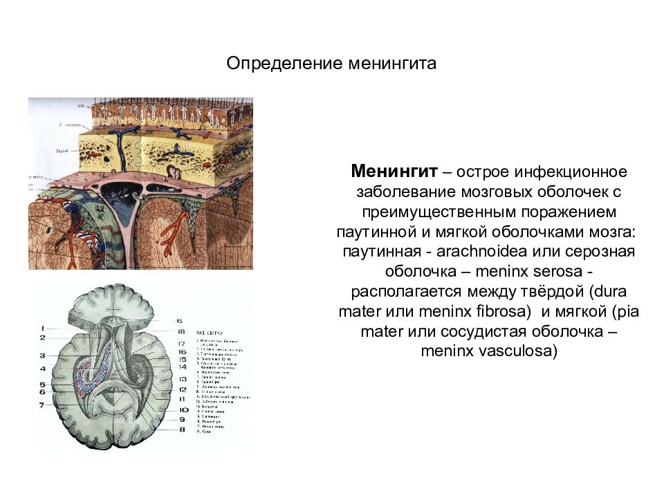 Поражения оболочек головного мозга. Заболевания оболочки мозга. Инфекция оболочки головного мозга. Поражение паутинной оболочки мозга. Воспаление оболочек головного мозга.