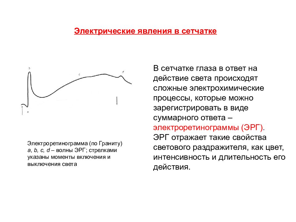 Электрические процессы. Электрические явления в сетчатке. Электрические явления в зрительном нерве. Электрические процессы в сетчатке при действии света. Фотохимические и электрические процессы в сетчатке.